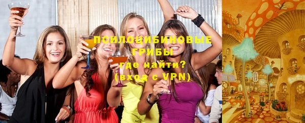 меф Арсеньев